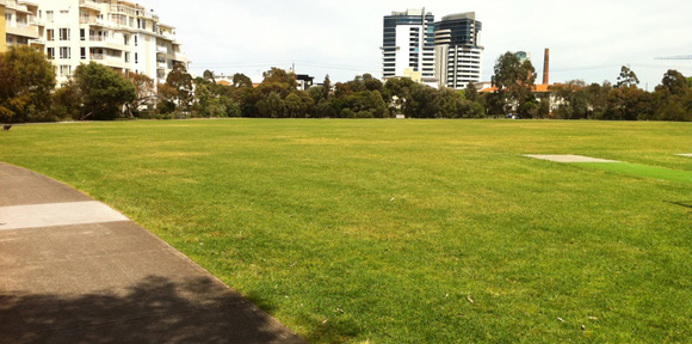 Sports ground at Lagoon Reserve with cricket wicket